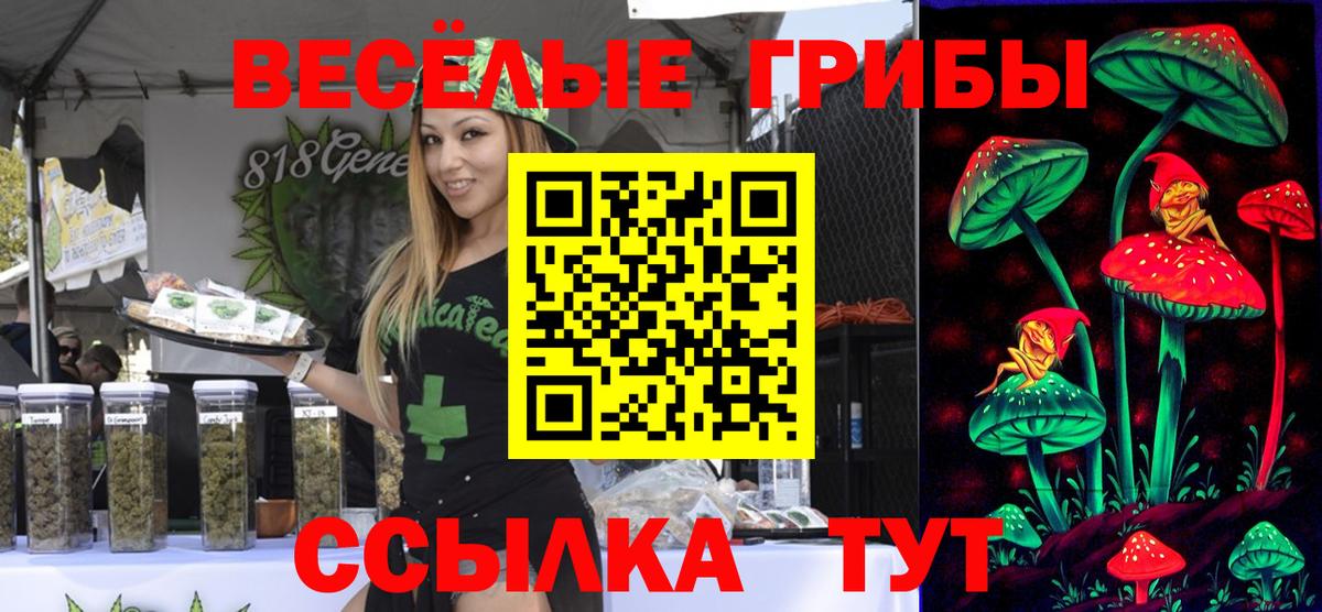 Галлюциногенные грибы GOLDEN TEACHER  Галлюциногенные грибы ЛСД  Вход с VPN  Азов 